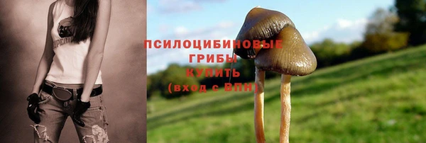 мяу мяу мука Арсеньев