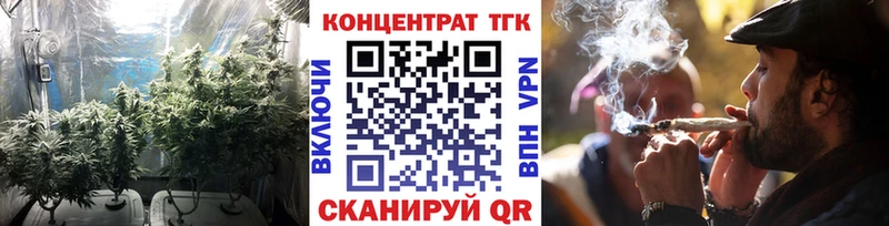 где купить наркотик  Сальск  ОМГ ОМГ tor  Дистиллят ТГК THC oil 