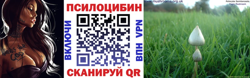 Галлюциногенные грибы MAGIC MUSHROOMS  Сальск 