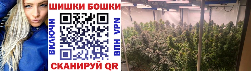 МАРИХУАНА SATIVA & INDICA  Сальск 